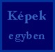 vegere